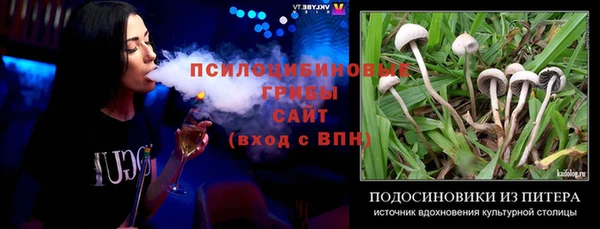 МДПВ Алексин