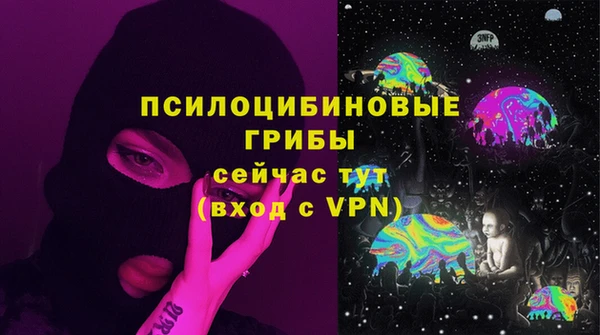 дмт Алзамай