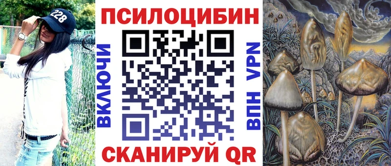 ОМГ ОМГ ССЫЛКА  Ступино  Псилоцибиновые грибы Cubensis 